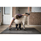 Sheep & Goat Training Halter