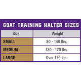 Sheep & Goat Training Halter