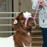 Poly Rope Halter