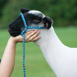 Poly Rope Halter