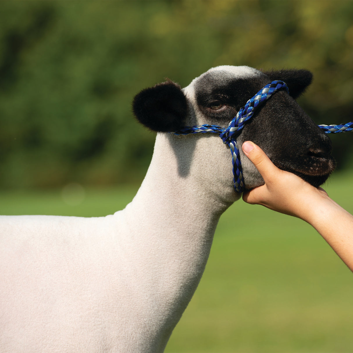 Poly Rope Halter