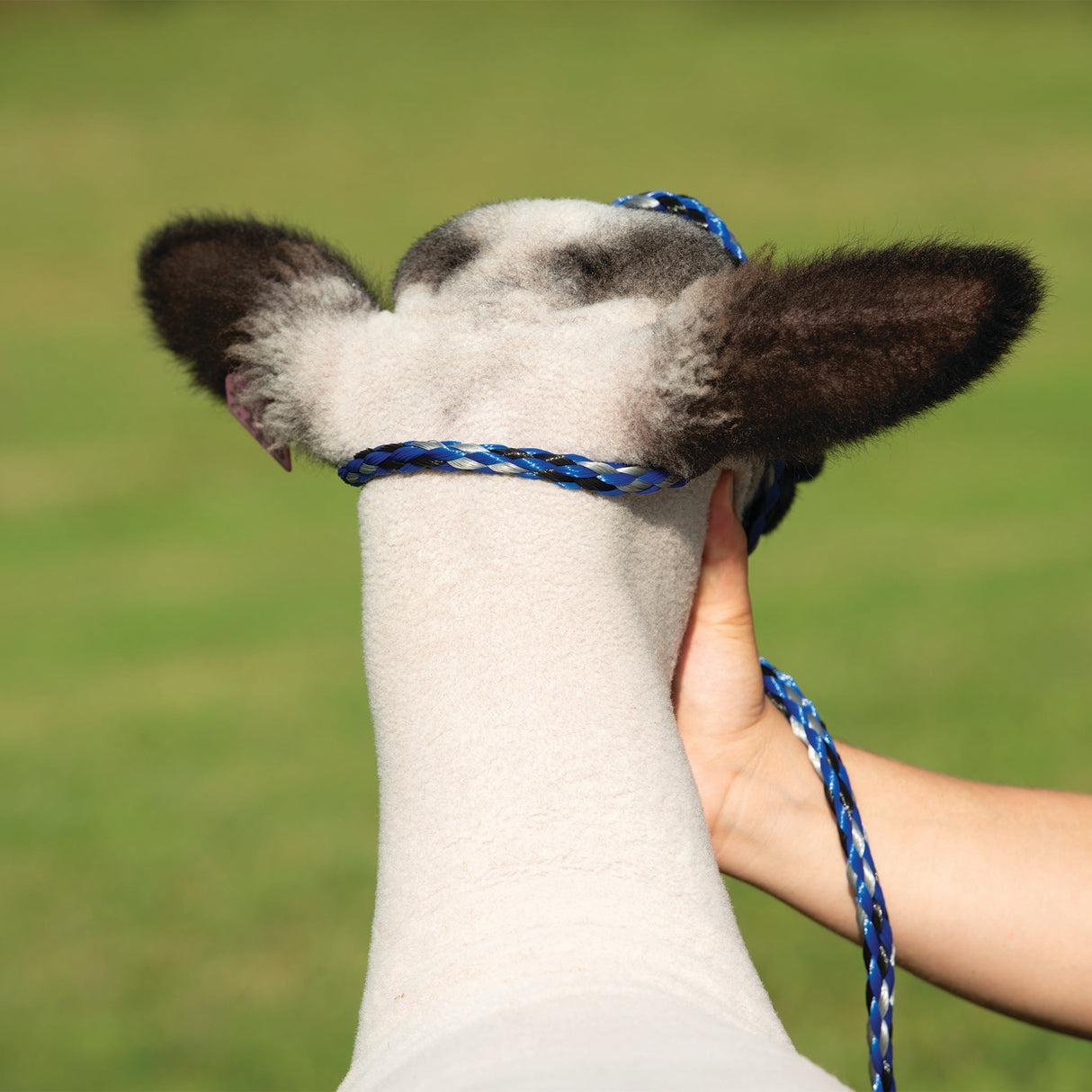Poly Rope Halter