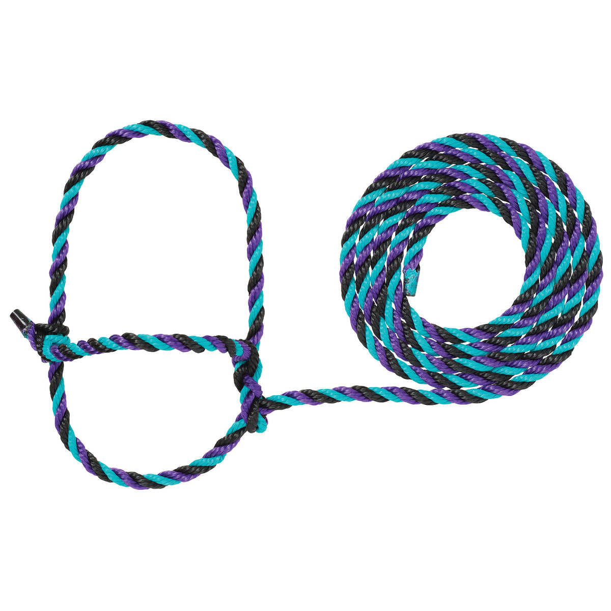 Premium Cattle Show Supply - Halters, Leads & Grooming Gear – Weaver ...