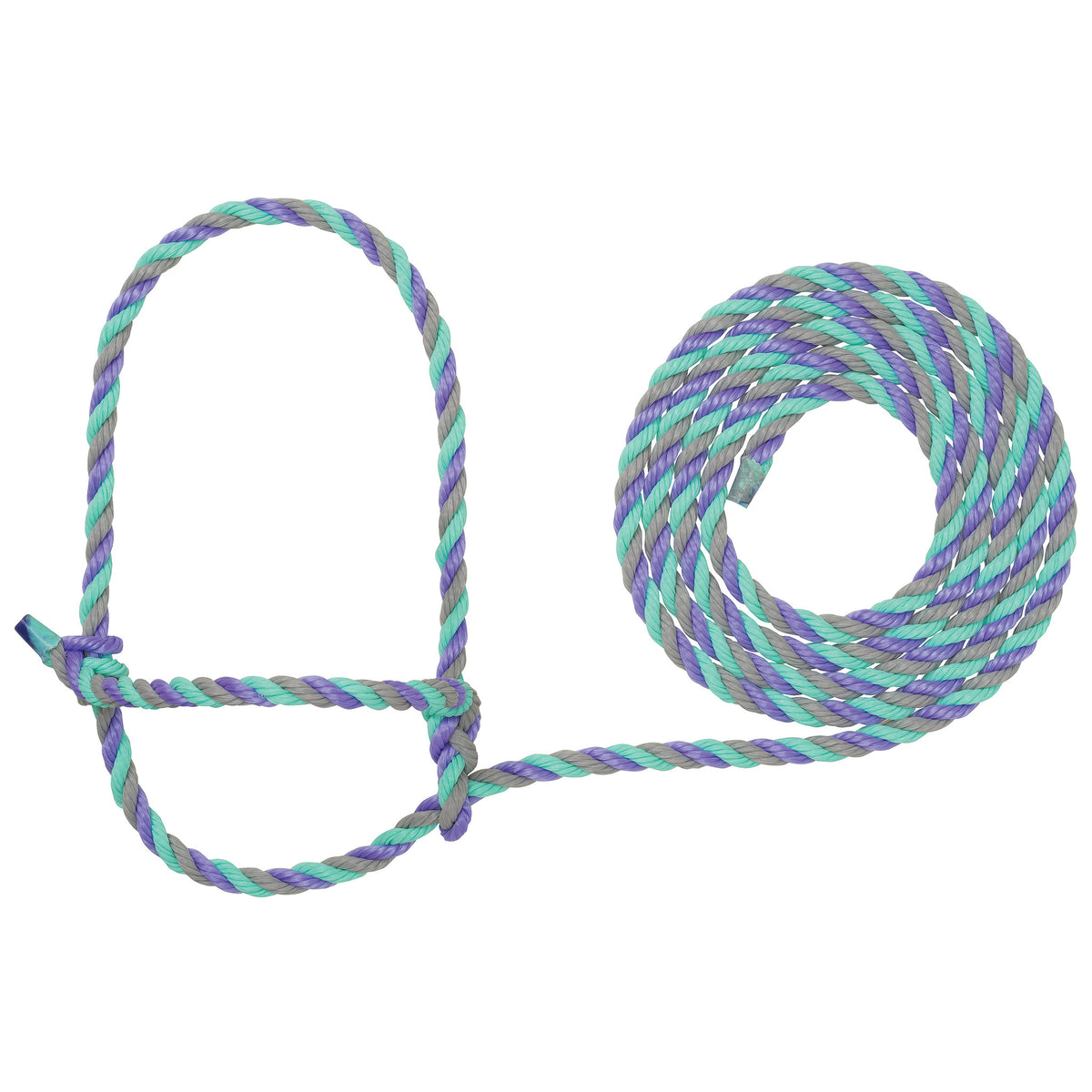 Premium Cattle Show Supply - Halters, Leads & Grooming Gear – Weaver ...