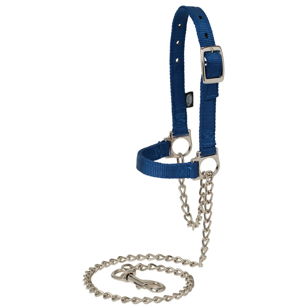 Nylon Adjustable Sheep Halter with Chain Lead, Navy