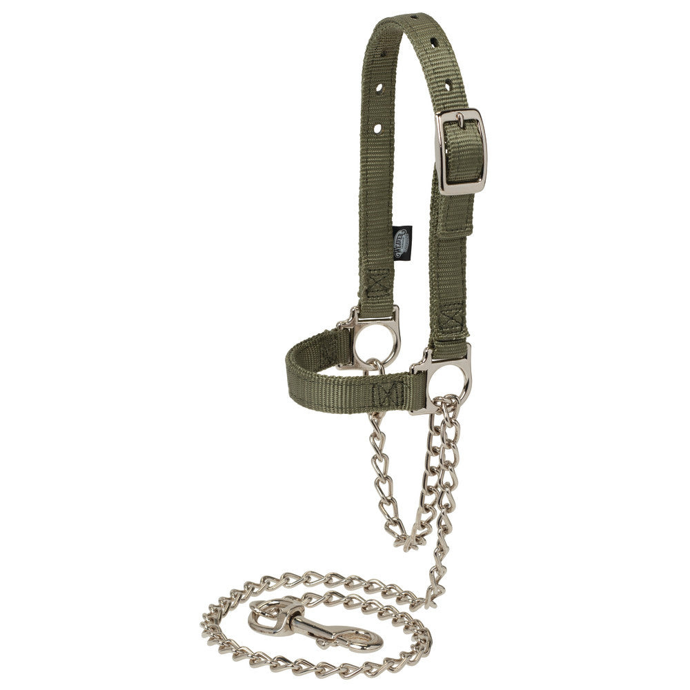 Nylon Adjustable Sheep Halter with Chain Lead, Hunter Green