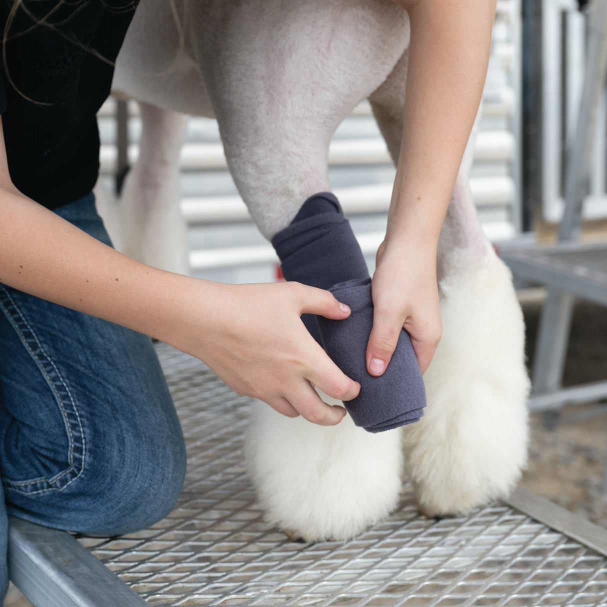 Sheep & Goat Fleece Leg Wraps, Steel