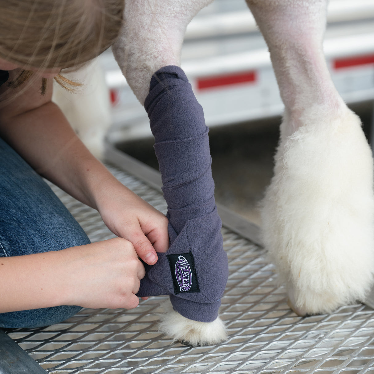 Sheep & Goat Fleece Leg Wraps, in use