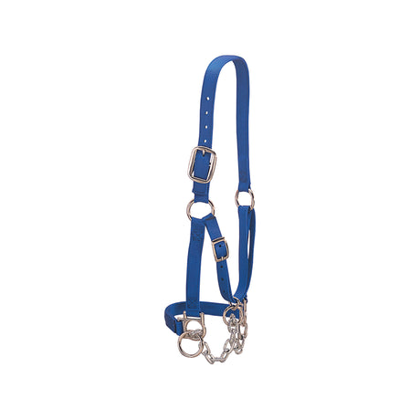 Heavy-Duty Restraint Halter