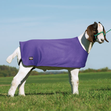 Sheep and Goat Underblanket
