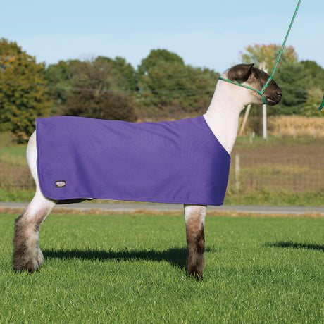 Sheep and Goat Underblanket