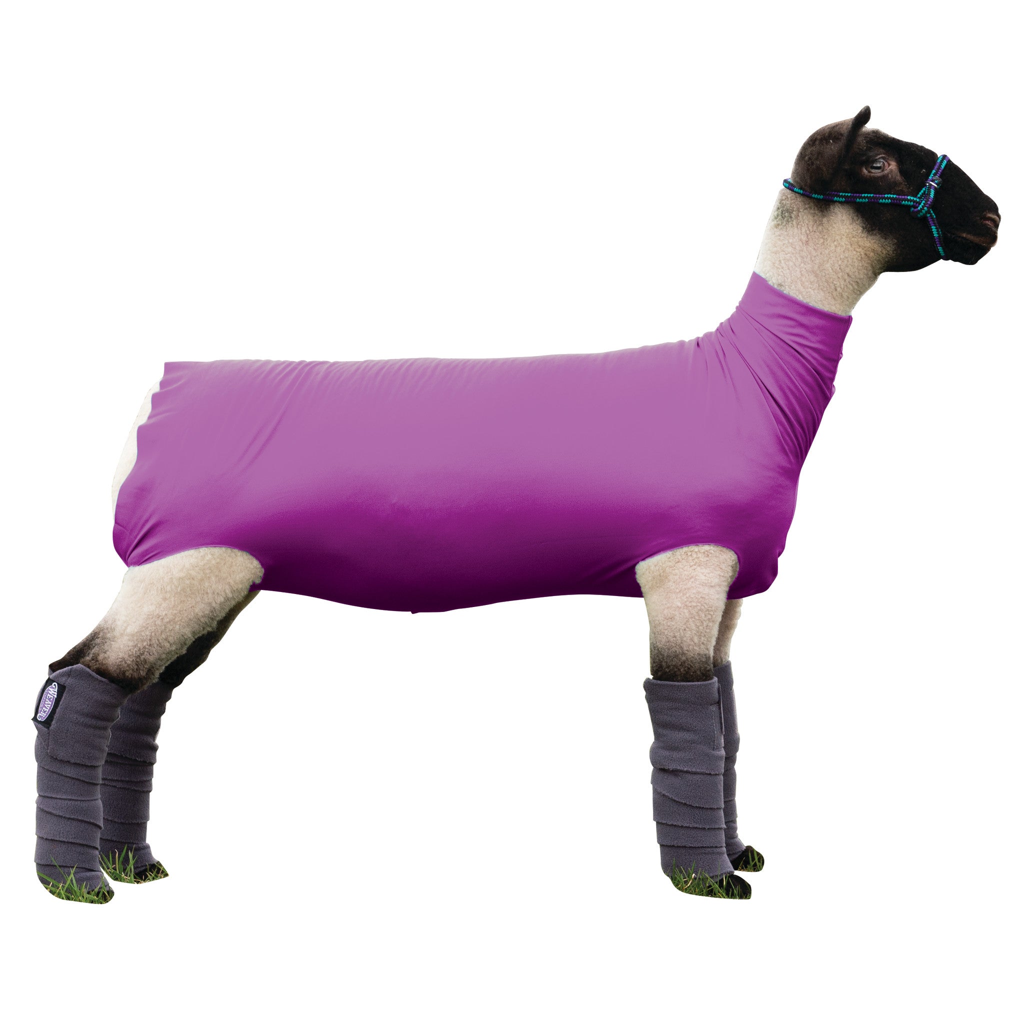 代引き人気  Tube Spandex Sheep - Livestock Weaver 小物