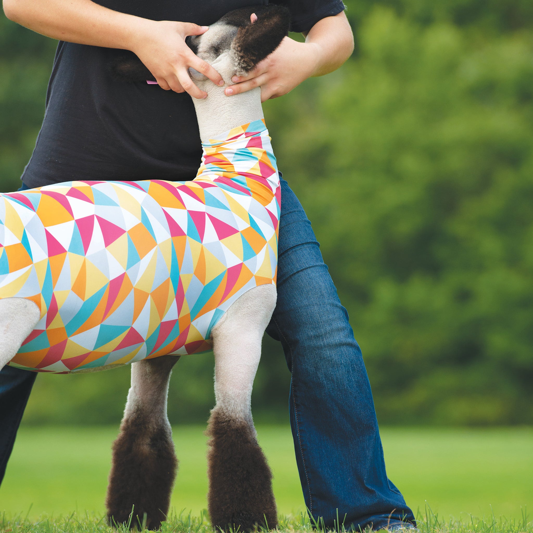 Sheep Spandex Tube - Weaver Livestock