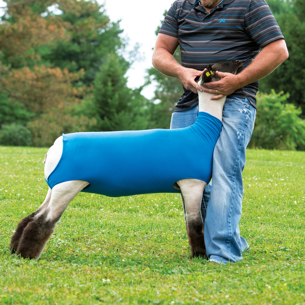 Cotton Sheep Tube, Blue