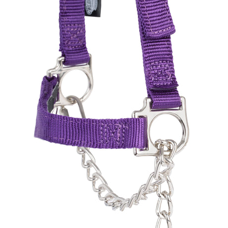 Nylon Adjustable Sheep Halter with Chain Lead