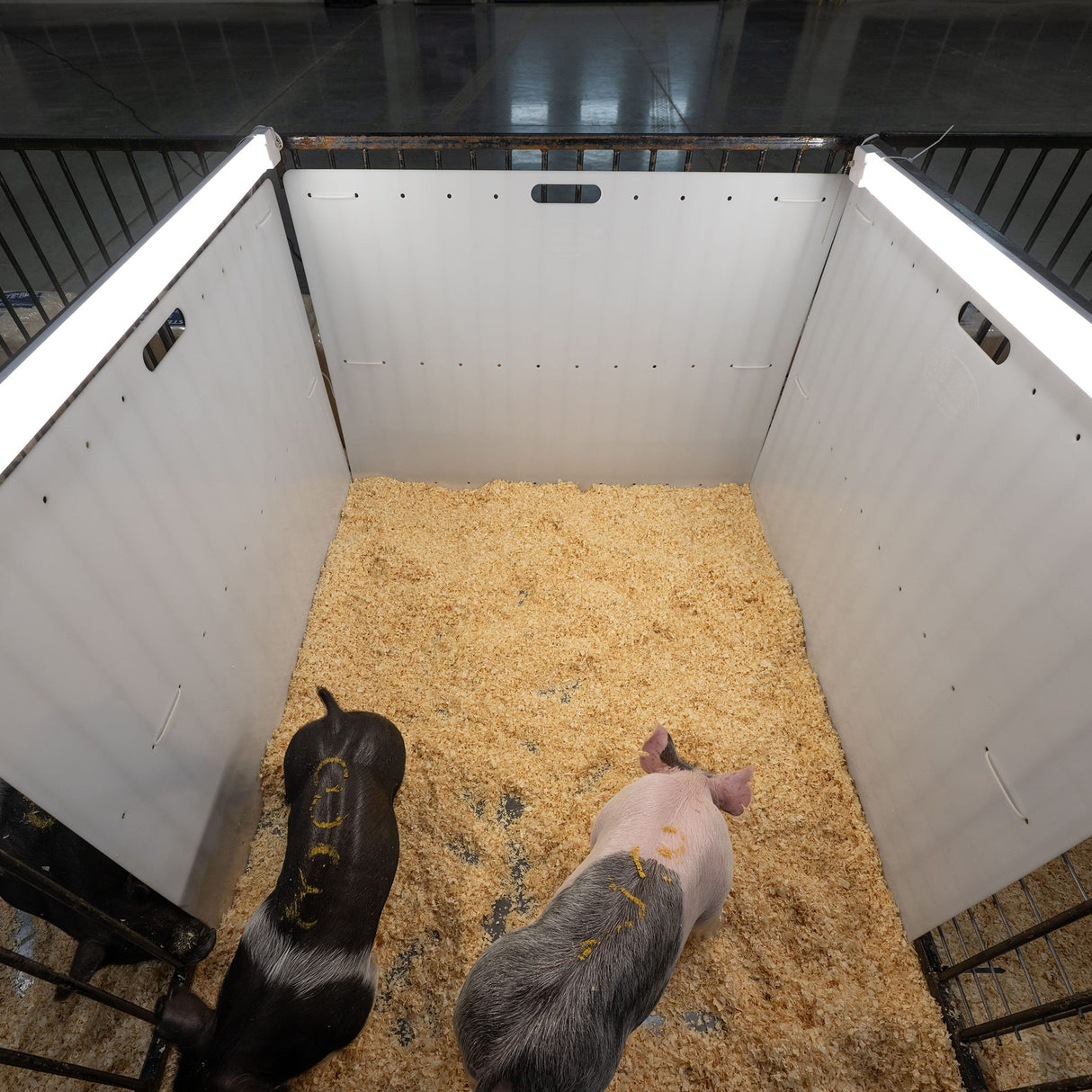 Pen Partition, 36"x 48"