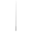 Riding/Pig Whip with Chrome Tip Handle, 36"