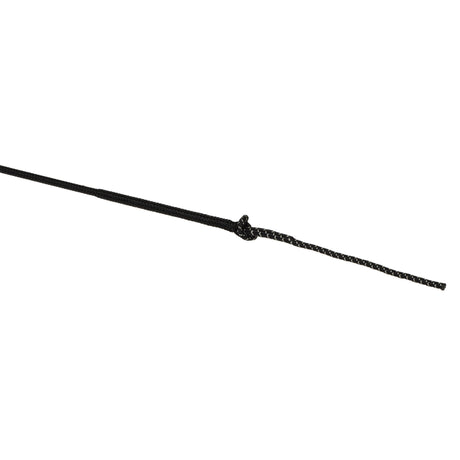 Whip with Replaceable Popper
