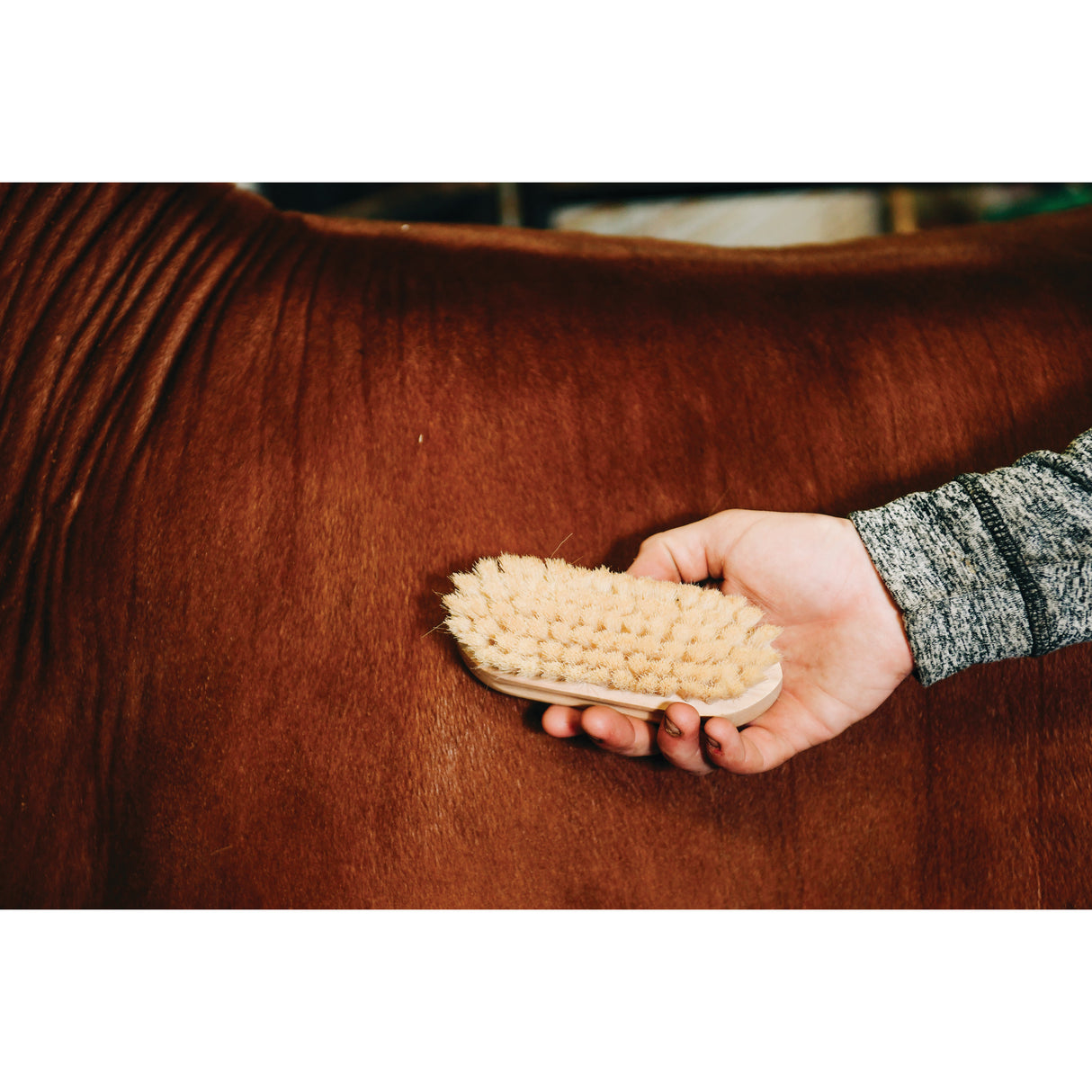 Goat Hair Brush