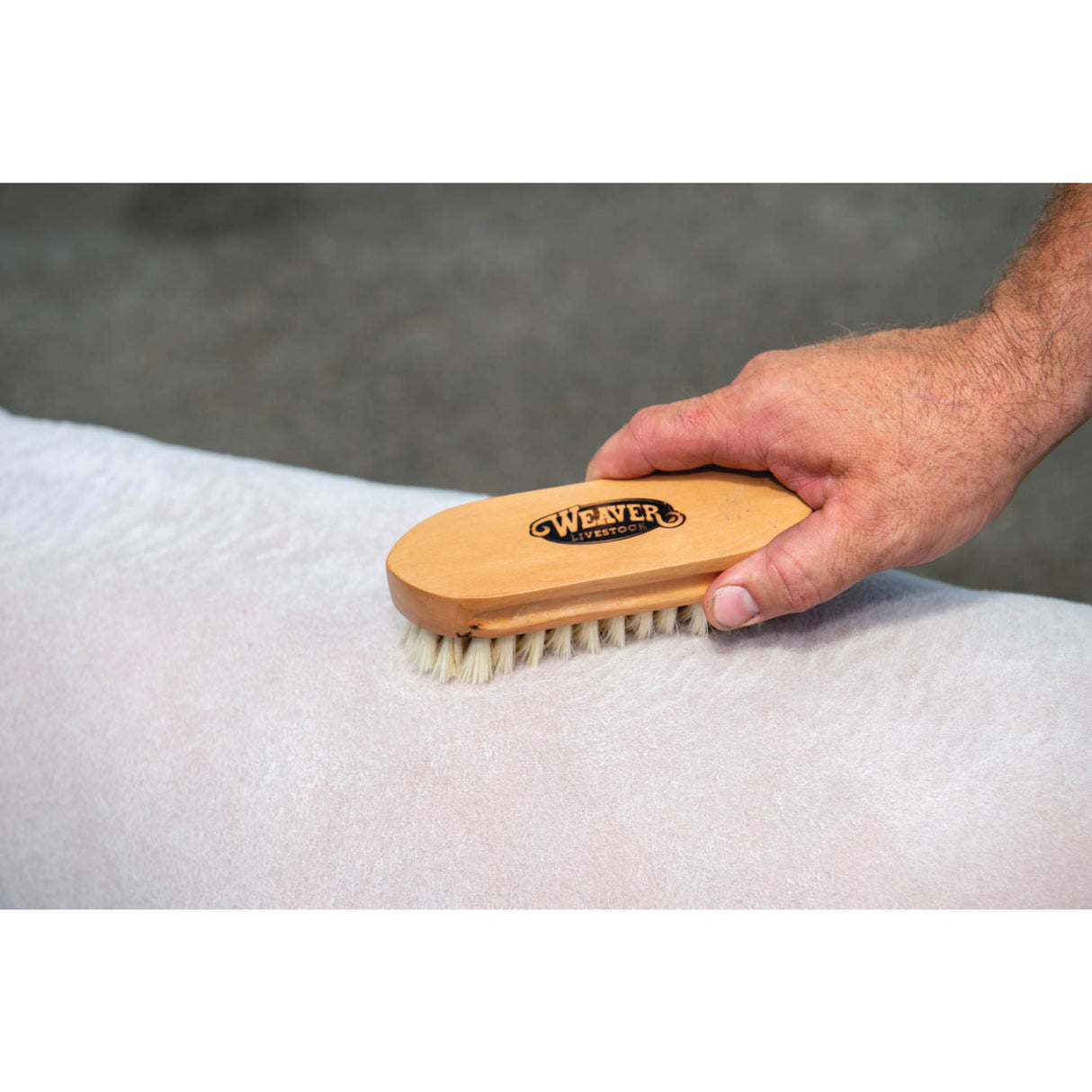 Goat Hair Brush