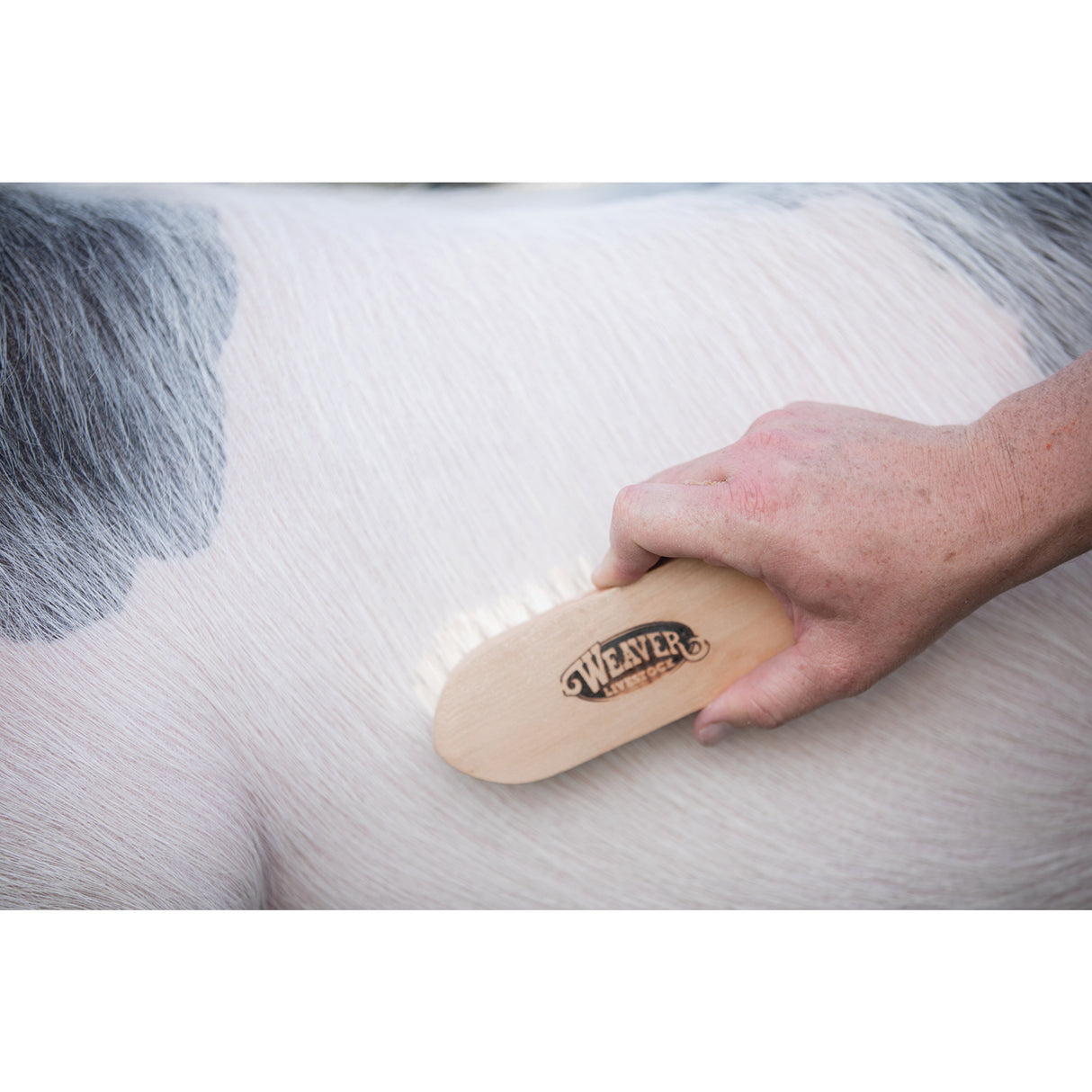 Goat Hair Brush