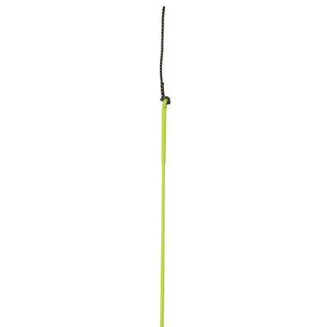 Whip with Replaceable Popper