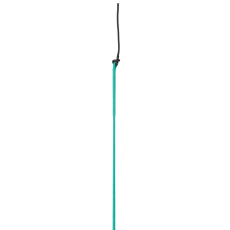 Whip with Replaceable Popper