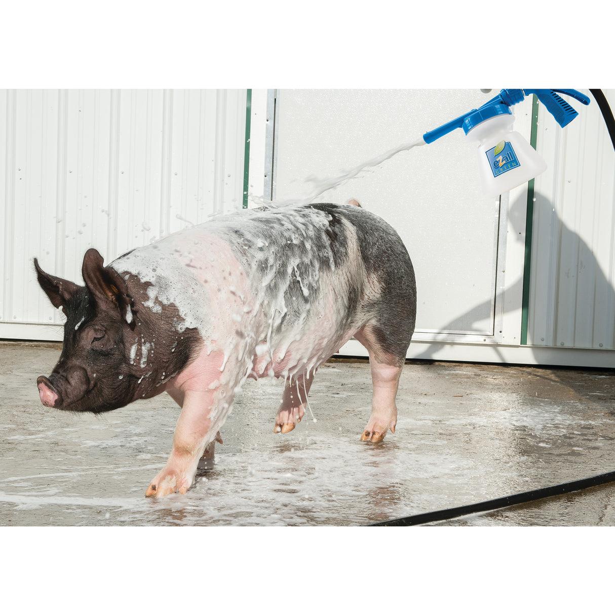 eZall® Total Body Wash Green