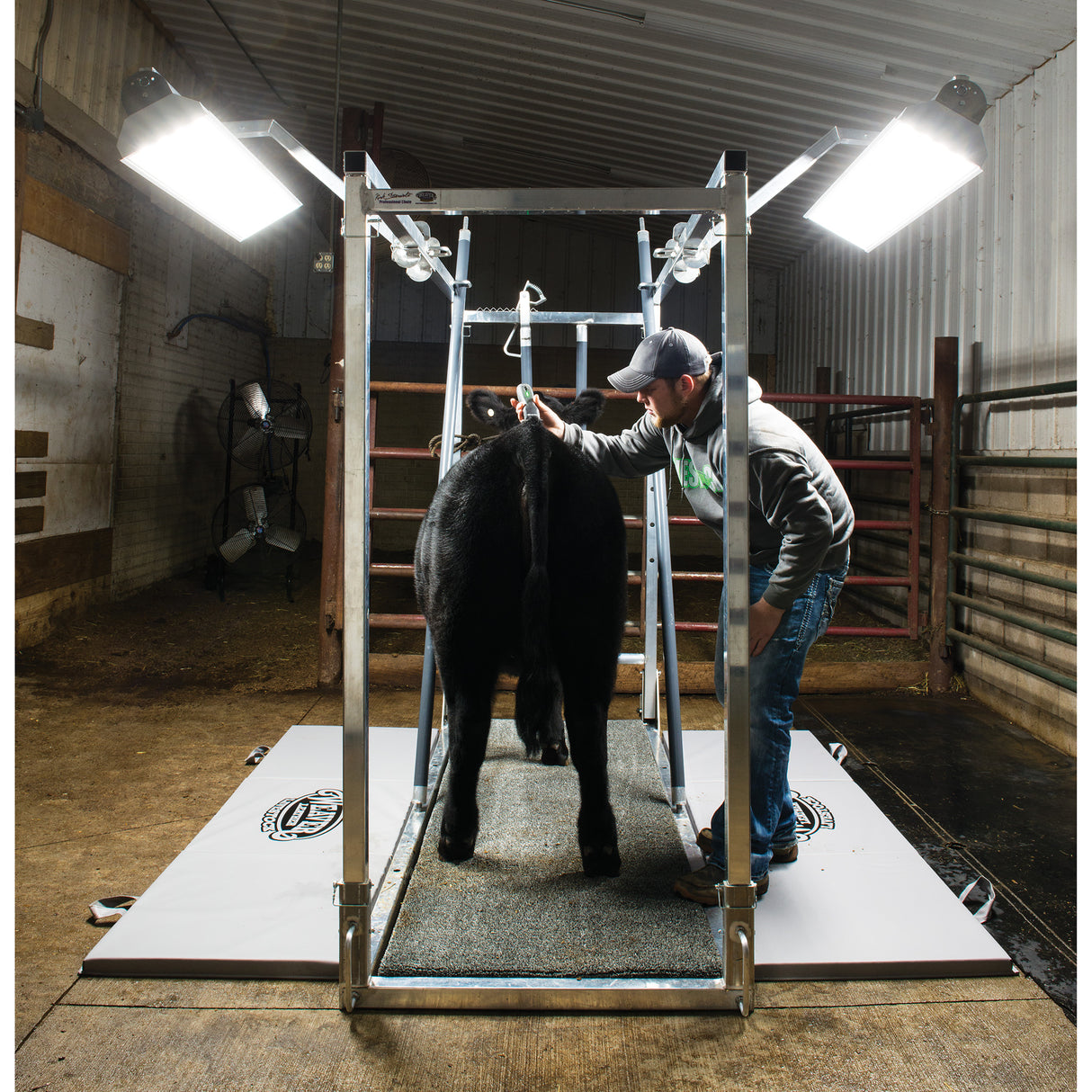 Chute Light