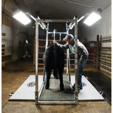 Chute Light