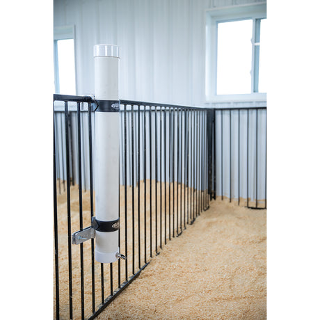 Pig Waterer in use