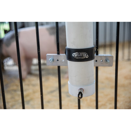 Pig Waterer close up