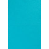 Ultra-Absorbent Chamois, Blue