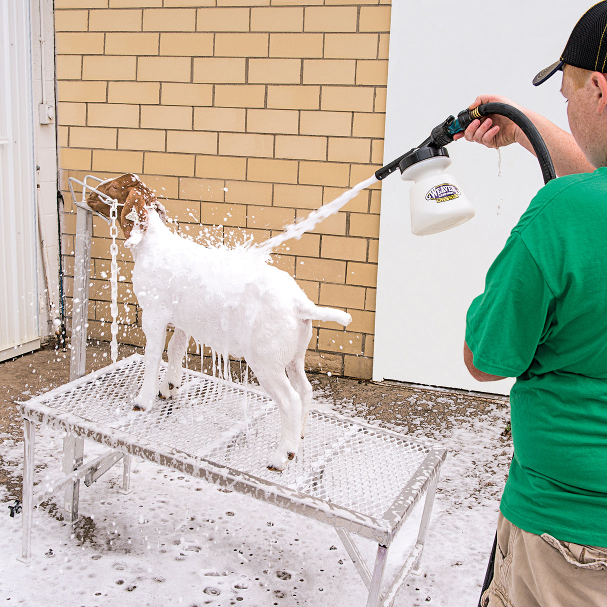 Mild Foam Shampoo