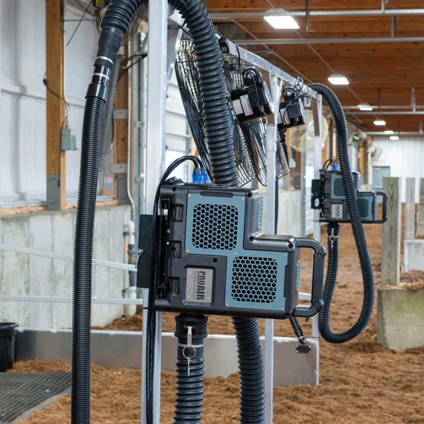 Cattle & Livestock Blowers for Efficient Grooming & Drying – Weaver ...