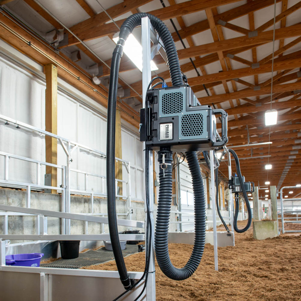 Cattle & Livestock Blowers for Efficient Grooming & Drying – Weaver ...