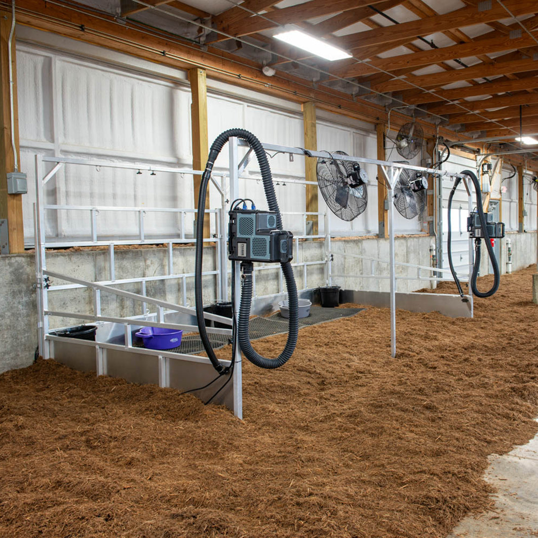 Cattle & Livestock Blowers for Efficient Grooming & Drying – Weaver ...