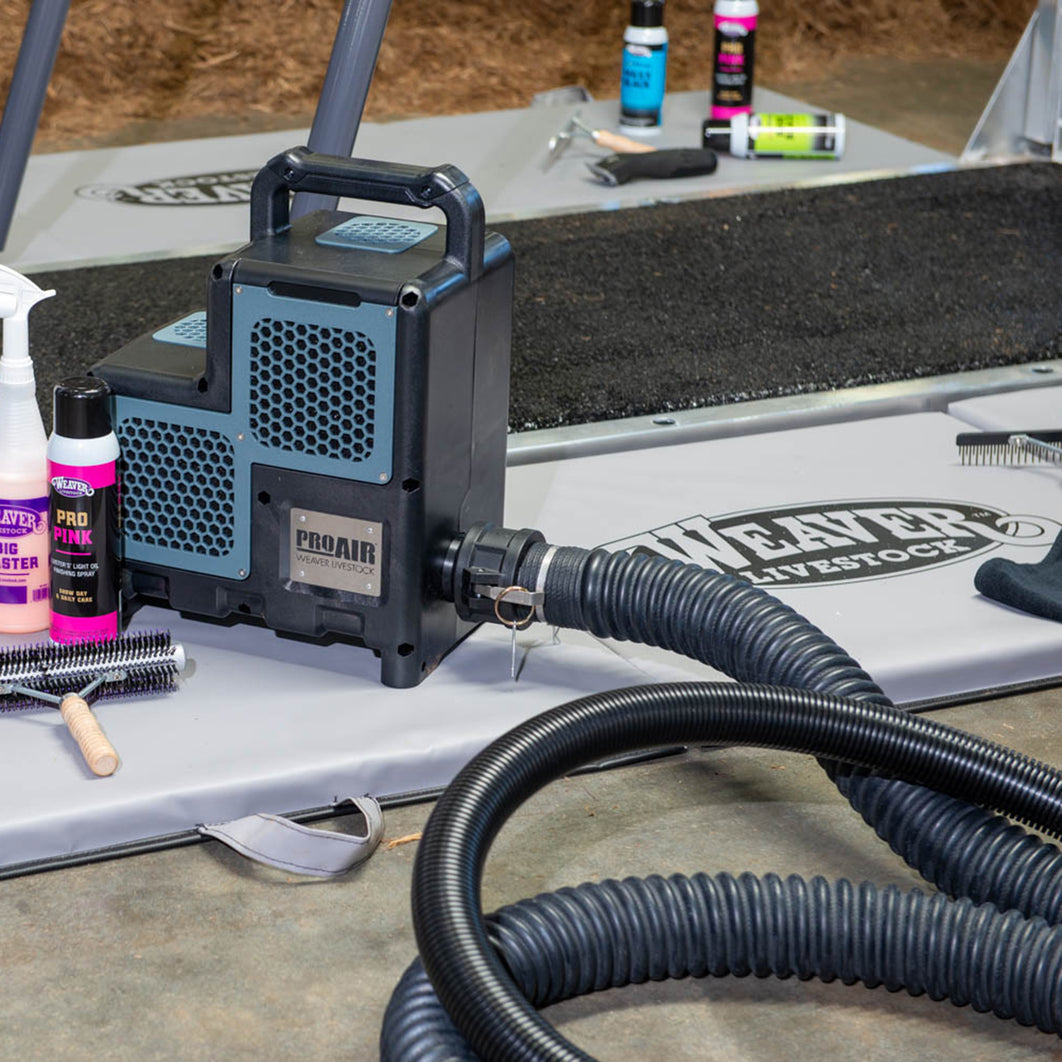 Cattle & Livestock Blowers for Efficient Grooming & Drying – Weaver ...