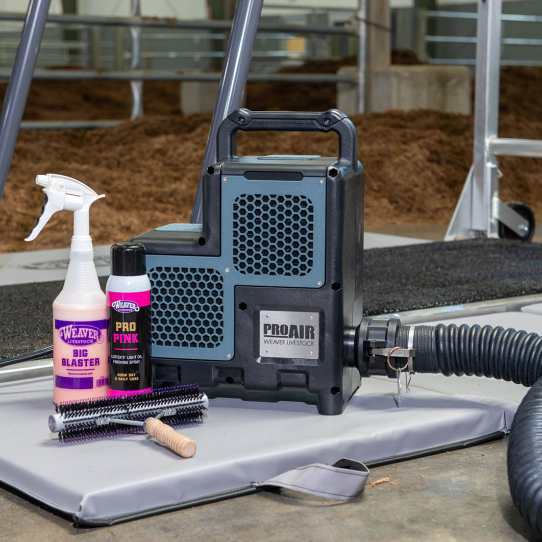 Cattle & Livestock Blowers for Efficient Grooming & Drying – Weaver ...
