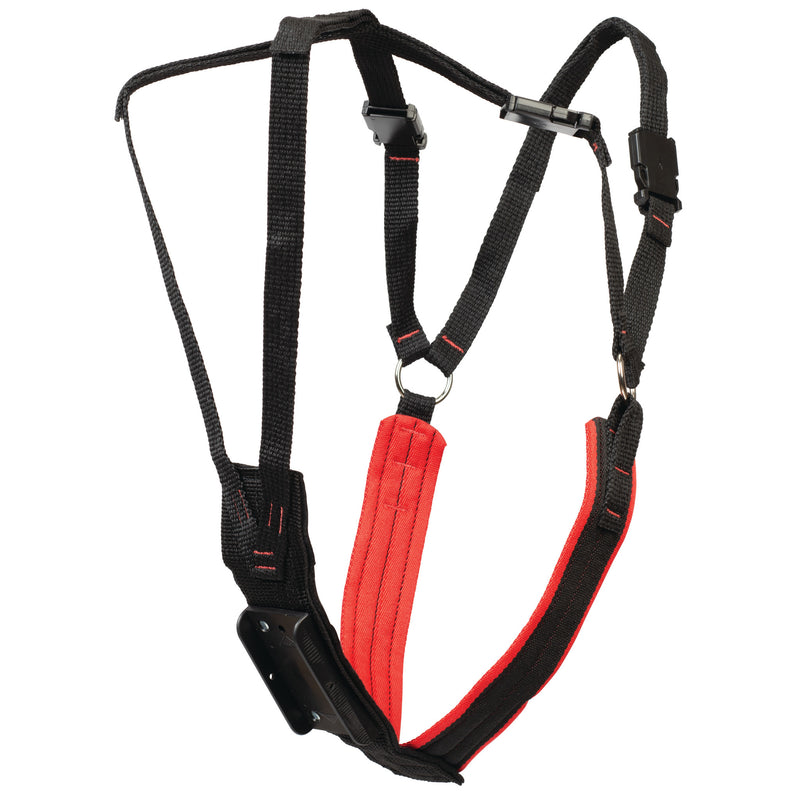 Small Ram Breeding Detection Harness