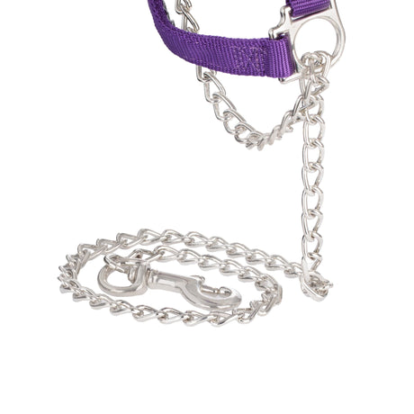 Nylon Adjustable Sheep Halter with Chain Lead