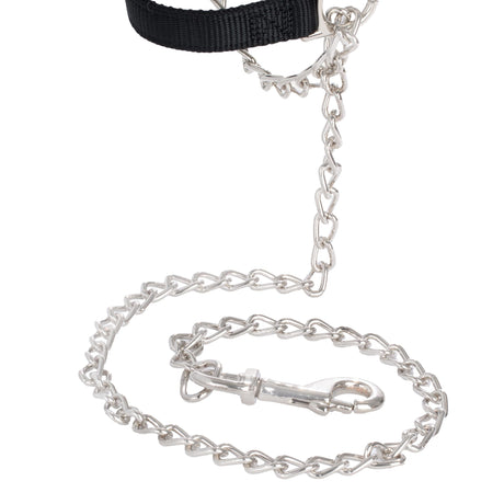 Nylon Adjustable Sheep Halter with Chain Lead