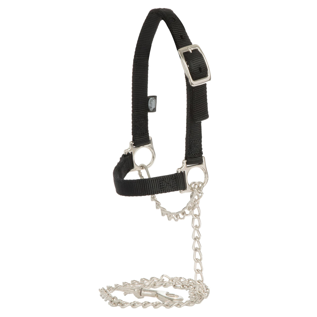 Nylon Adjustable Sheep Halter with Chain Lead