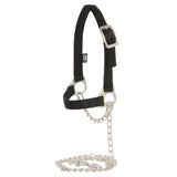 Nylon Adjustable Sheep Halter with Chain Lead