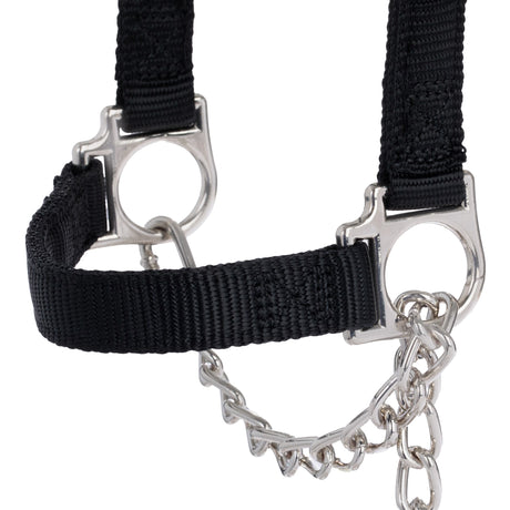 Nylon Adjustable Sheep Halter with Chain Lead