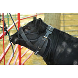 Neck Sweat System, Black Leather with SBR Neoprene Liner, Black, Large