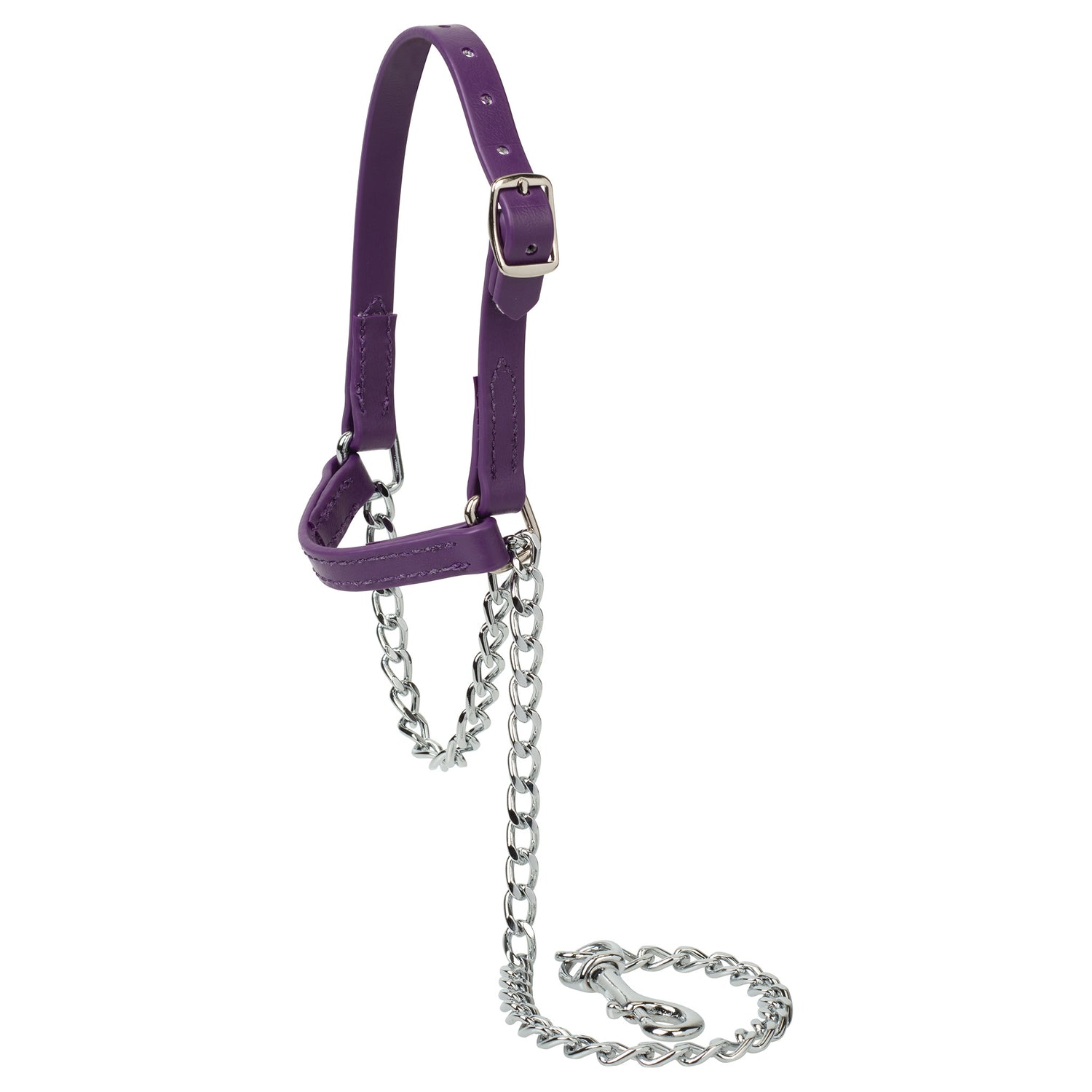 Brahma Webb Goat Halters Weaver Livestock brahma-webb-goat-halters-weaver-livestock