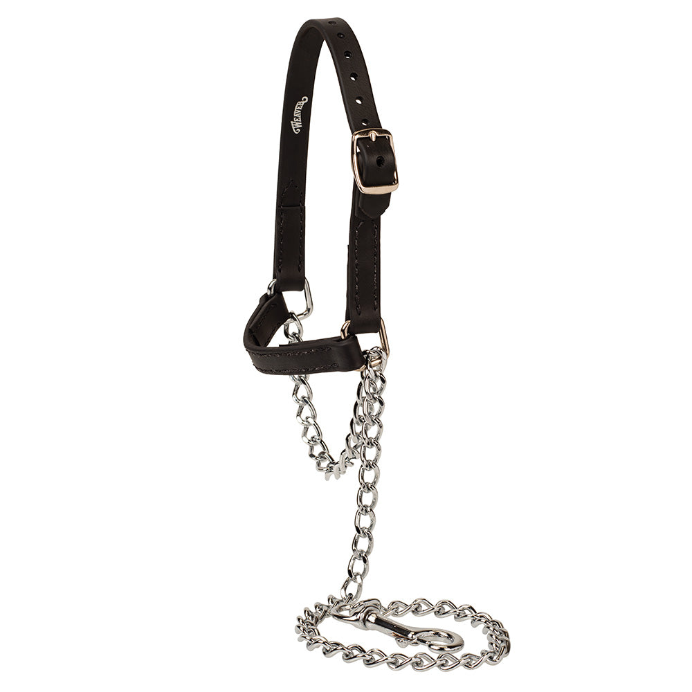 Brahma Webb Goat Halters Weaver Livestock brahma-webb-goat-halters-weaver-livestock