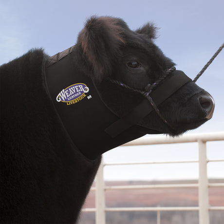 Cattle Neck Sweat