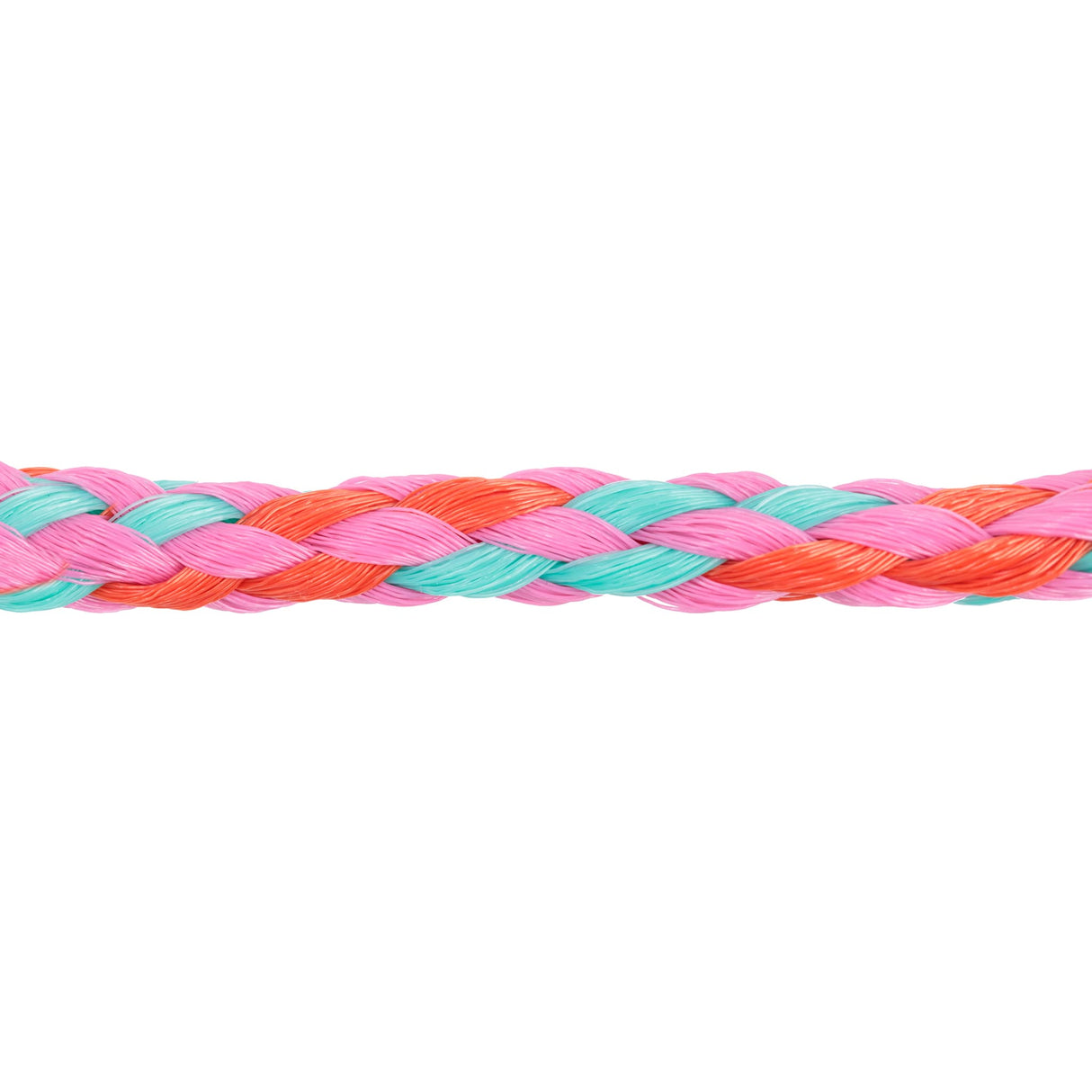 Poly Rope Halter